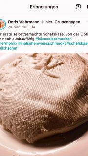 Vor sieben Jahren hat alles mit einem Liter Schafmilch begonnen. Heute entstehen bei uns auf dem Hof die verschiedensten Käse aus Kuh-, Schaf- und Ziegenmilch – jeder mit eigener Handschrift, jeder mit ganz viel Herz gemacht.
Danke, dass ihr diesen Weg mitgeht. 🧀💛
#käserinofinsta #rohmilchkäse #lueningsbergerdelikatessenmanufaktur #hofkäserei #weserbergland #jerseykühe #ziegenkäseliebe #schafmilchkäse #vhm #käsehandwerk #hamelnpyrmont #milchhandwerk