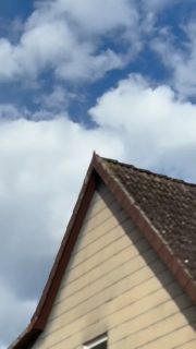 Die erste Schwalbe ist zurück.
Und plötzlich ist er da – dieser Moment,
wo sich alles nach Sommer anfühlt.
Ihr Zwitschern gehört für mich genauso zum Hof
wie unsere Tiere und das Leben hier draußen.
Aber Schwalben kommen nicht einfach überall hin.
Sie brauchen Orte, an denen sie willkommen sind.
Wo sie Nester bauen dürfen.
Wo Leben sein darf – nicht geschniegelt, nicht perfekt.
Vielleicht ist genau das echte Natur.
Nicht geschniegelt und aufgeräumt,
sondern lebendig.
Und wir entscheiden jeden Tag ein Stück mit,
ob es solche Orte noch gibt.
#schwalbe #nachhaltigelandwirtschaft #jetztkommtdersommer #käserinofinsta #hofleben