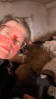 Crazy“ ist nicht der Wolf.Crazy ist, wie wir damit umgehen.

Ein Jungwolf läuft durch eine Stadt, landet in einer Einkaufspassage, beißt eine Frau – und soll wieder ausgewildert werden. Ernsthaft?

Gleichzeitig werden gerissene Nutztiere reflexartig „wildernden Hunden“ zugeschrieben. Wer jeden Tag mit Tieren arbeitet, weiß: So sieht Realität nicht aus.

Der Wolf ist in Deutschland längst kein bedrohtes Tier mehr.Aber für Weidetierhalter wird er zur echten Gefahr. Und noch was:

Unter jedem Beitrag plötzlich hunderte „Experten“.Aber wenn man nachfragt – Ausbildung? Erfahrung mit Nutztieren? – wird es still.

Meinung ist schnell gemacht. Verantwortung nicht.

Dieses romantische „der gehört halt zur Natur“ klingt schön – hat aber mit der Realität auf unseren Weiden wenig zu tun.Wir leben hier nicht in unberührter Wildnis, sondern in einer Kulturlandschaft, in der Mensch und Tier jeden Tag eng zusammenarbeiten.

Wer mitreden will, sollte sich auch ehrlich mit den Folgen beschäftigen – für Tiere, für Betriebe und für die Menschen dahinter.

Weniger Gefühl, mehr Realität.#derwolffrisstkeingras #crazy #weidetierhaltungschützen #weserbergland #meinemeinung