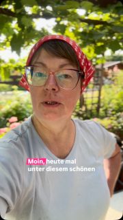 Vier Gurken.

Eine würde jeder kaufen.
Bei der zweiten würden manche schon überlegen.
Die anderen beiden? Würden wahrscheinlich liegen bleiben.

Obwohl sie genauso gut schmecken.

Warum entscheiden wir so oft nach der Optik – und nicht nach dem Wert eines Lebensmittels?

Genau das sehe ich auch in unserer Hofkäserei. Nicht jeder Käse sieht perfekt aus. Aber manchmal sind gerade diese Laibe geschmacklich etwas ganz Besonderes.

Vielleicht sollten wir weniger Perfektion kaufen – und mehr Lebensmittel retten. 💚#ressourcenschonen #nichtperfektaberlecker😋 #lueningsbergerdelikatessenmanufaktur #käserinofinsta #wissenwodeinessenherkommt
