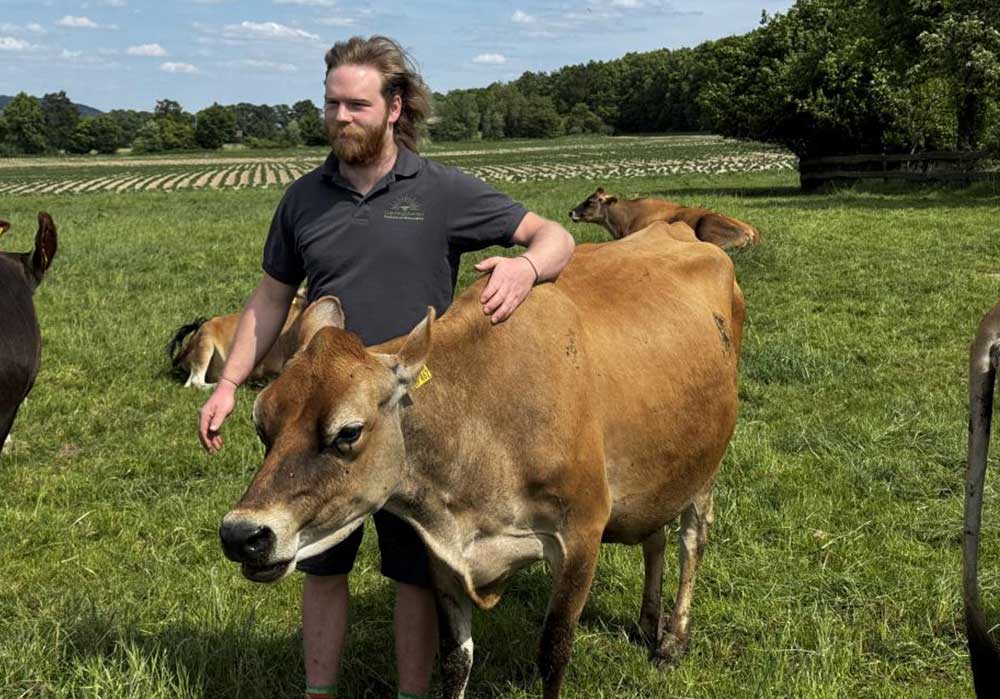 milch